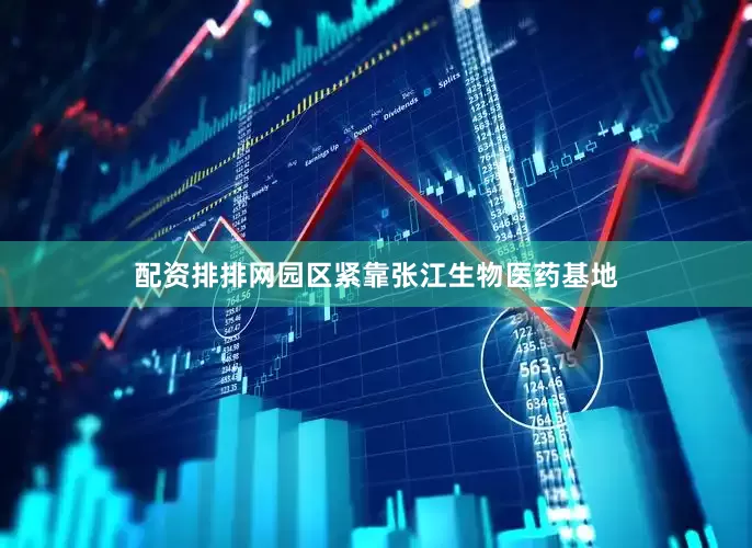 配资排排网园区紧靠张江生物医药基地