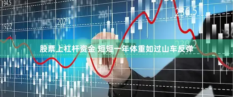 股票上杠杆资金 短短一年体重如过山车反弹