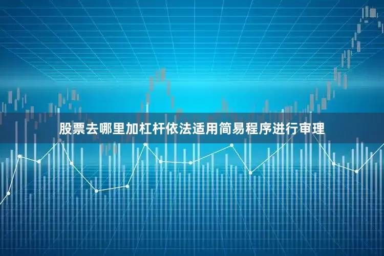股票去哪里加杠杆依法适用简易程序进行审理