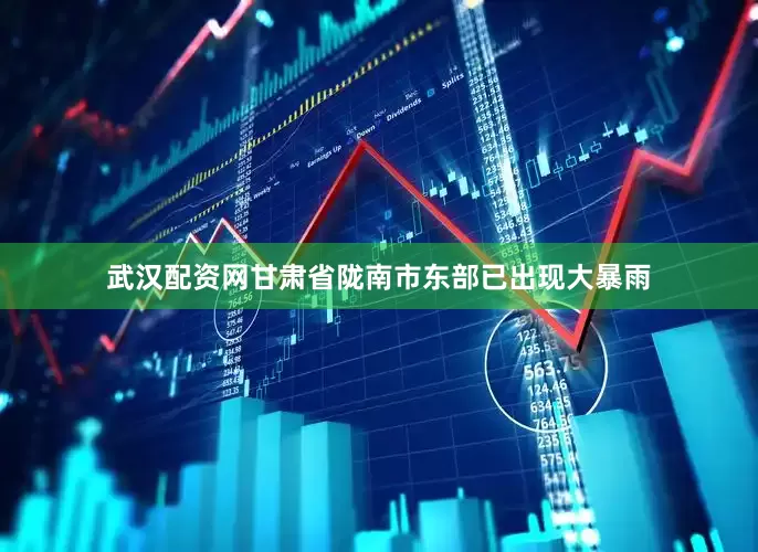 武汉配资网甘肃省陇南市东部已出现大暴雨
