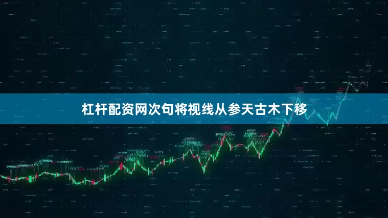 杠杆配资网次句将视线从参天古木下移